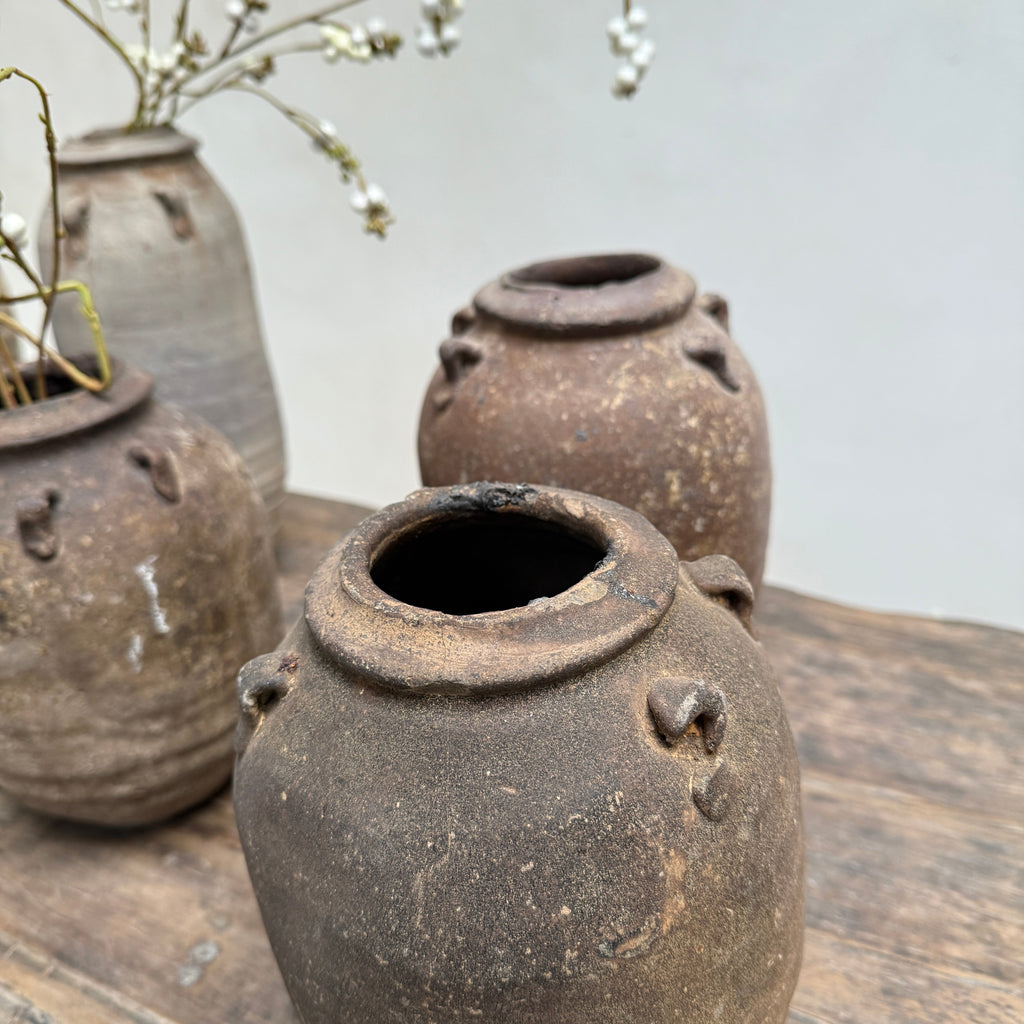14th Century Shipwreck pot | Darlina